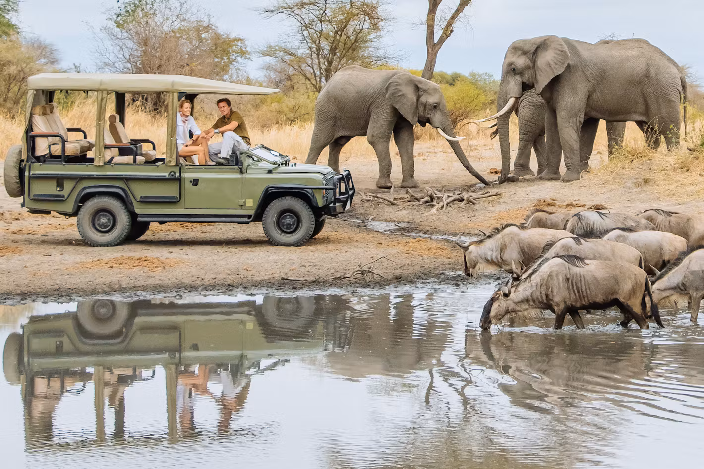 13 Days Great Migration Twende Safari Family Adventure