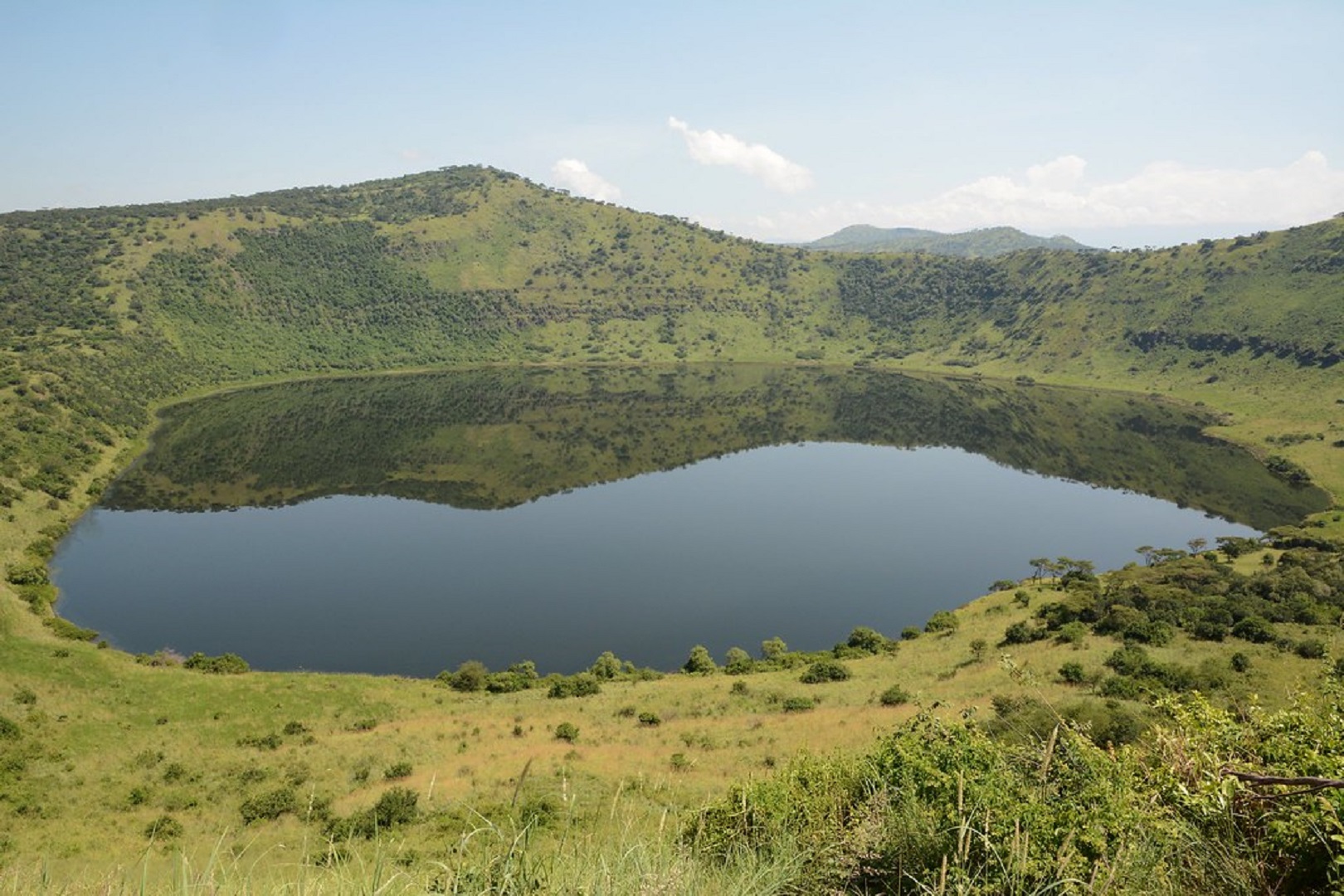 12 Days Big5, Chimps, Gorillas & Culture in Uganda Nyumbu Escorted Safari