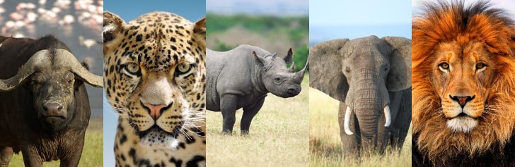 12 Days Family Kenya & Tanzania Wildlife and cultural Safari