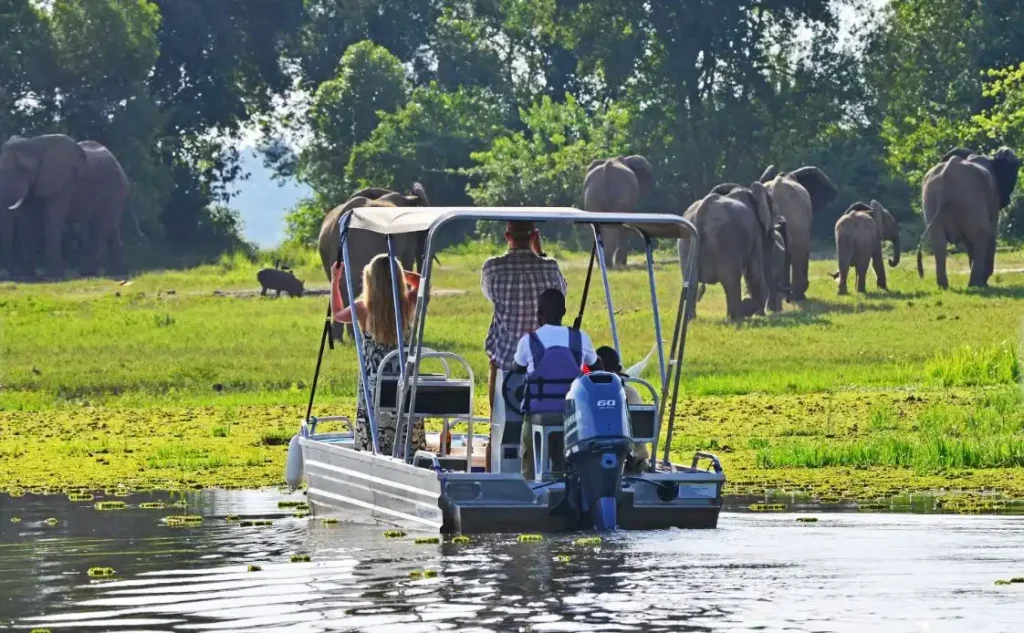 13 days Uganda & Rwanda Primate & Big 5 Wildlife Adventure Safari