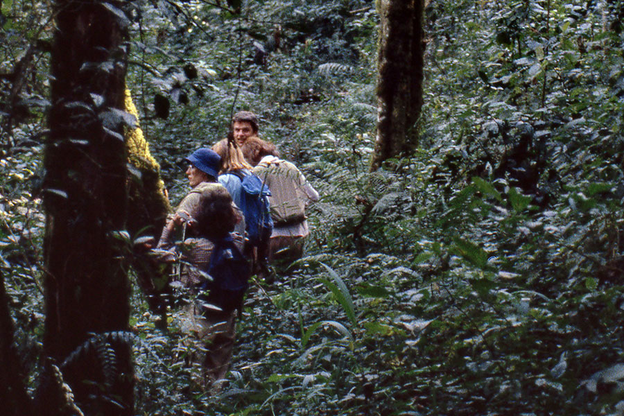 5 Days Burundi Explorer Safari Odyssey