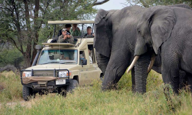 22 Days Ultimate East Africa Safari