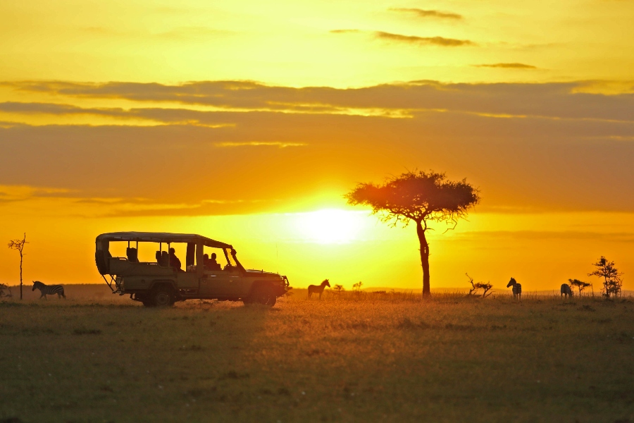 Evening Game Drive in Mara Reserve.