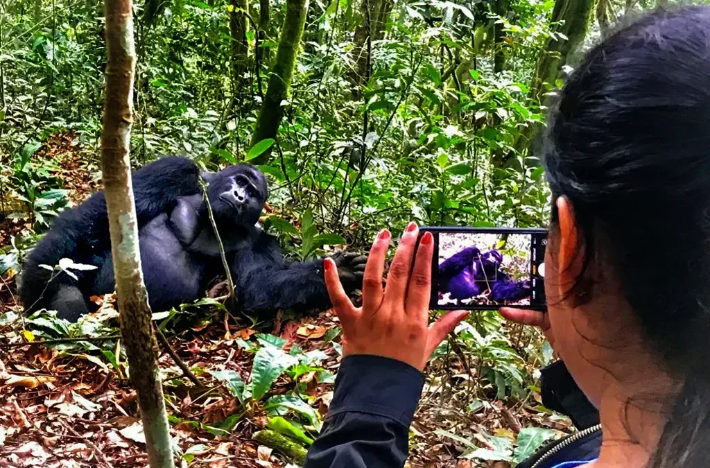 Gorilla Trekking in Kahuzi Biega National Park