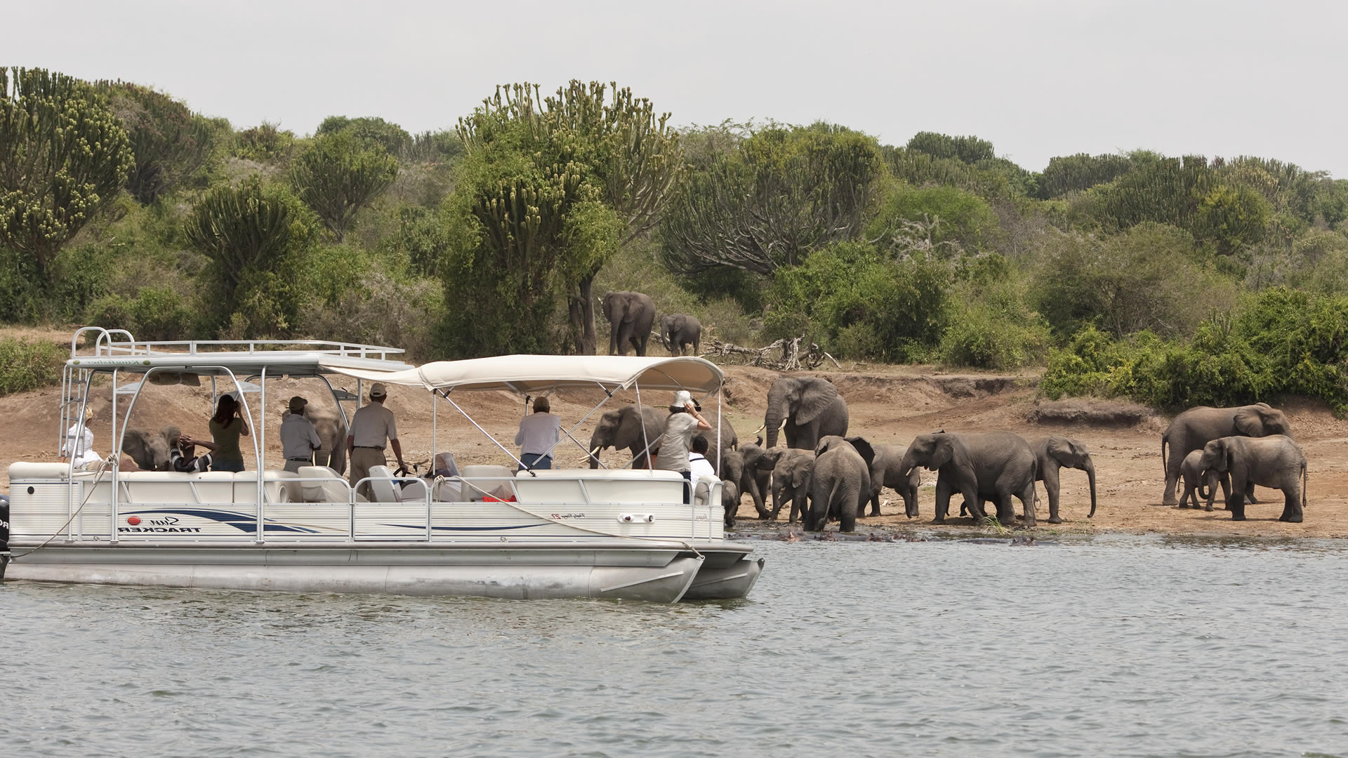 7 Days Uganda Gorillas, Wildlife & Chimpanzee Tracking Safari