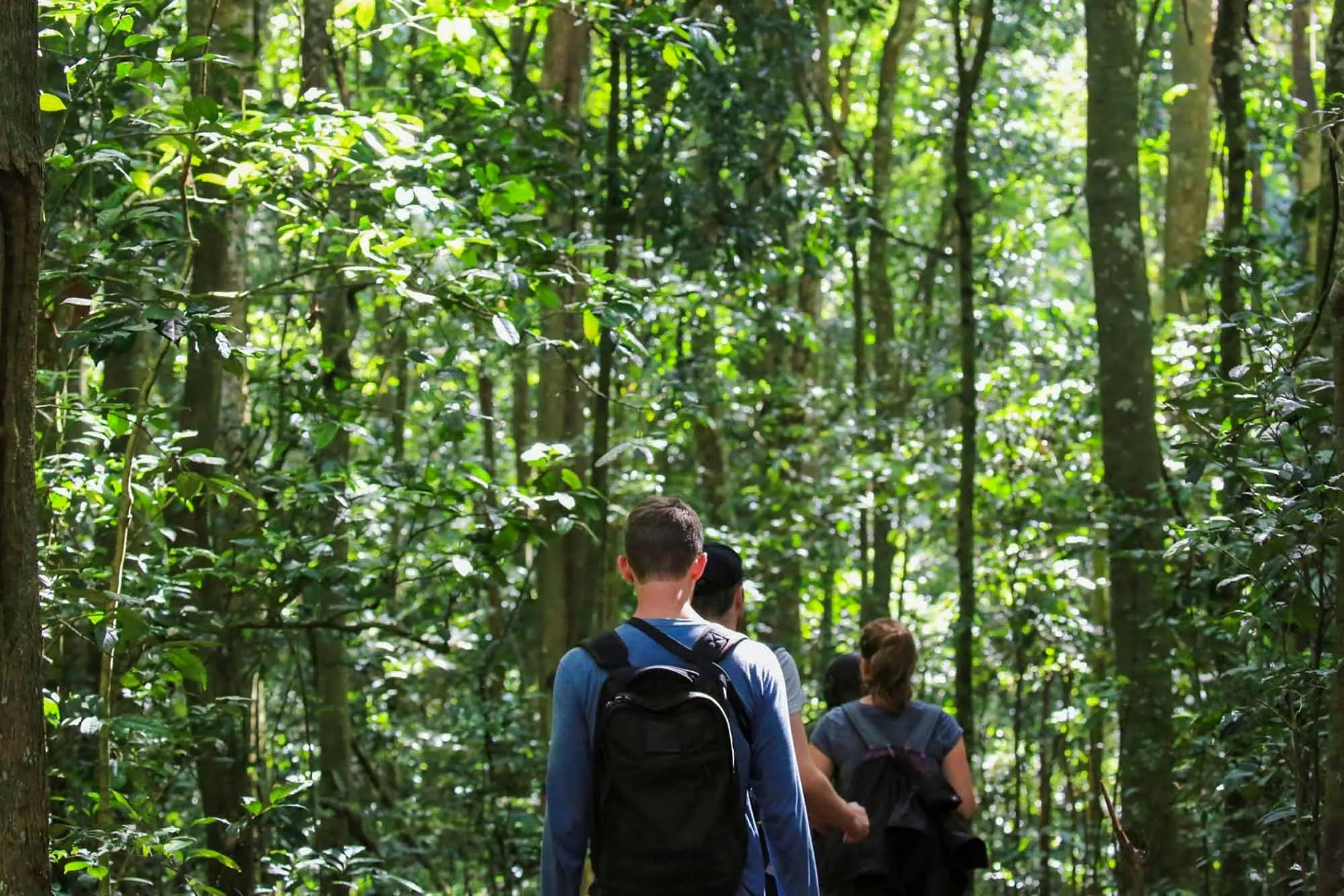 13 days Uganda & Rwanda Primate & Big 5 Wildlife Adventure Safari