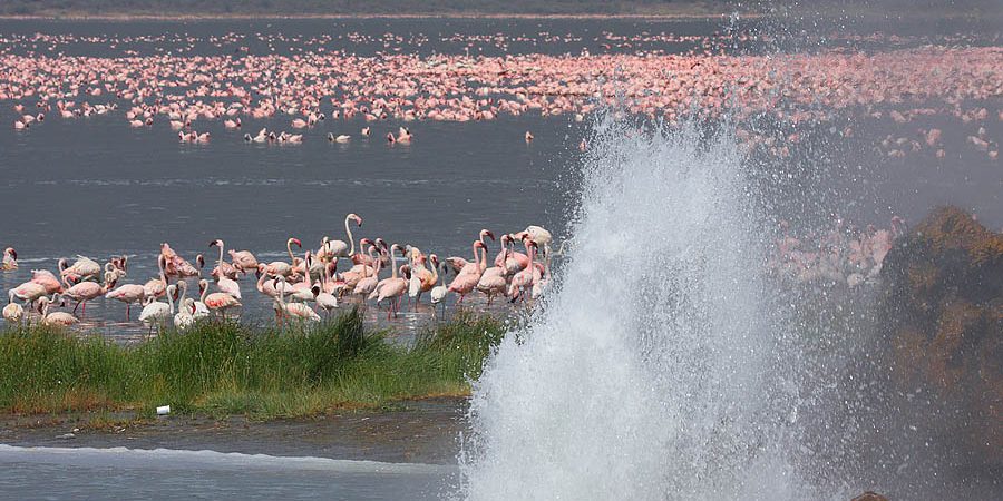 16 Days Kenya North Photography Journey