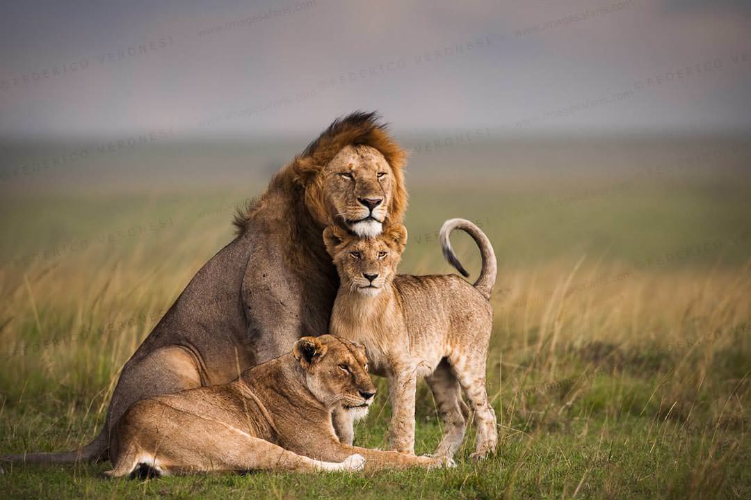 Maasai Mara National Reserve