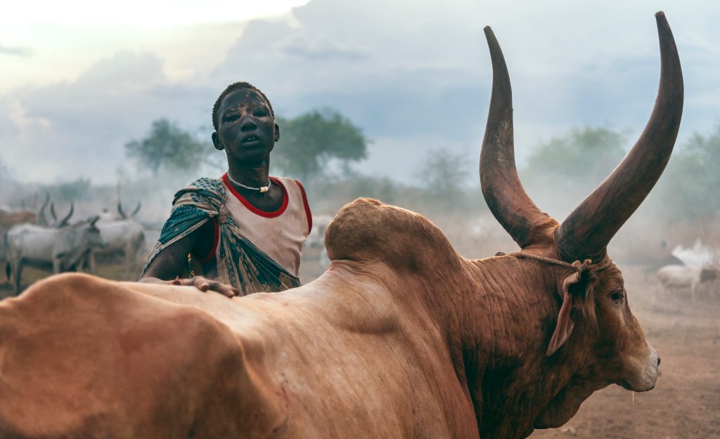 15 Days South Sudan Tribal Wonders Of The White Nile Photography Safari