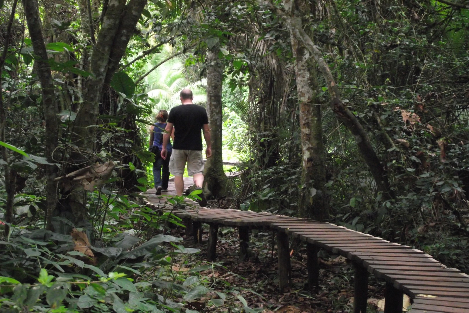 Bigodi Wetland Sanctuary