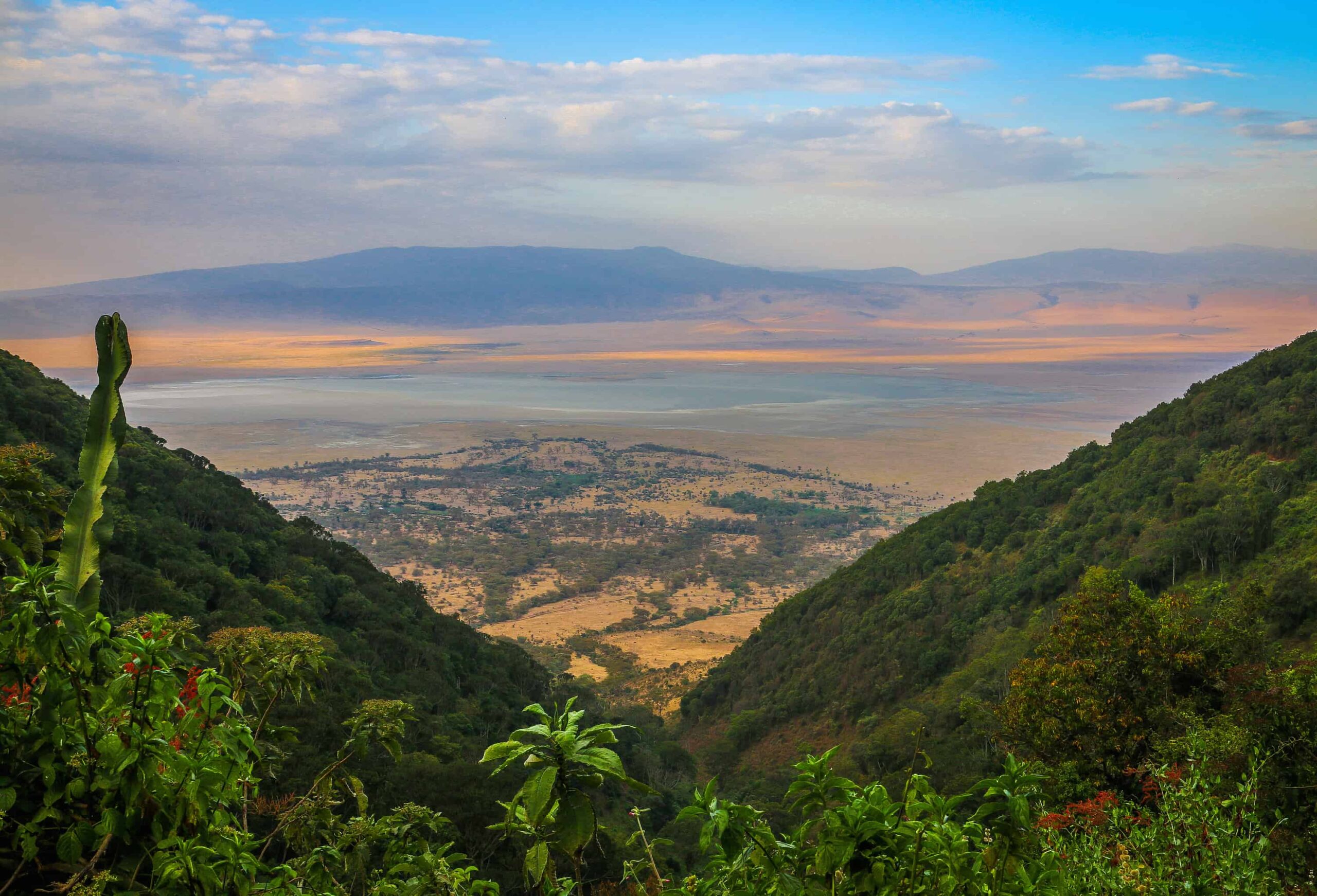 8 Days Nyumbu Signature Tanzania Safari