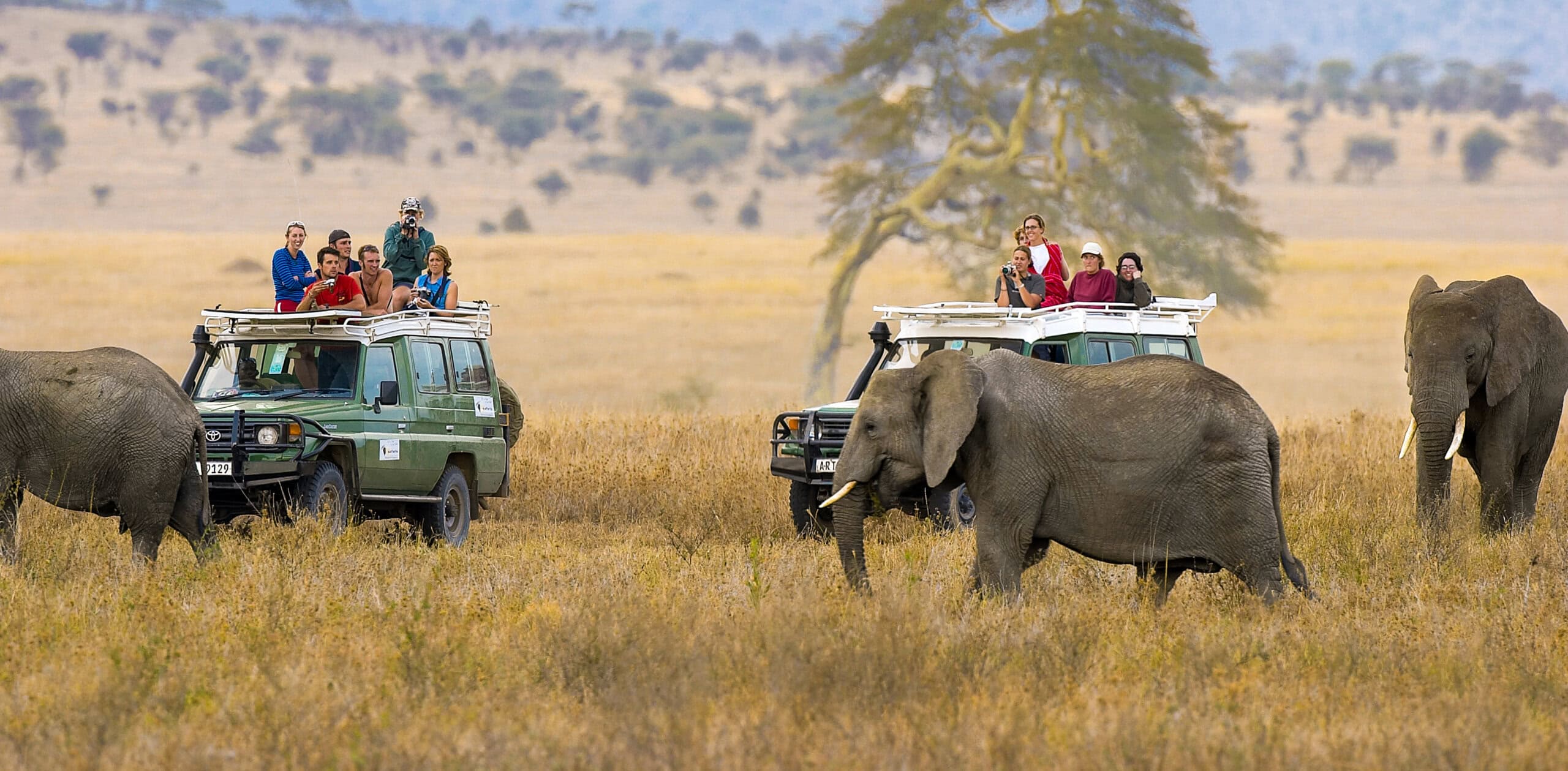7 Days Northern Tanzania Calving Season Journey