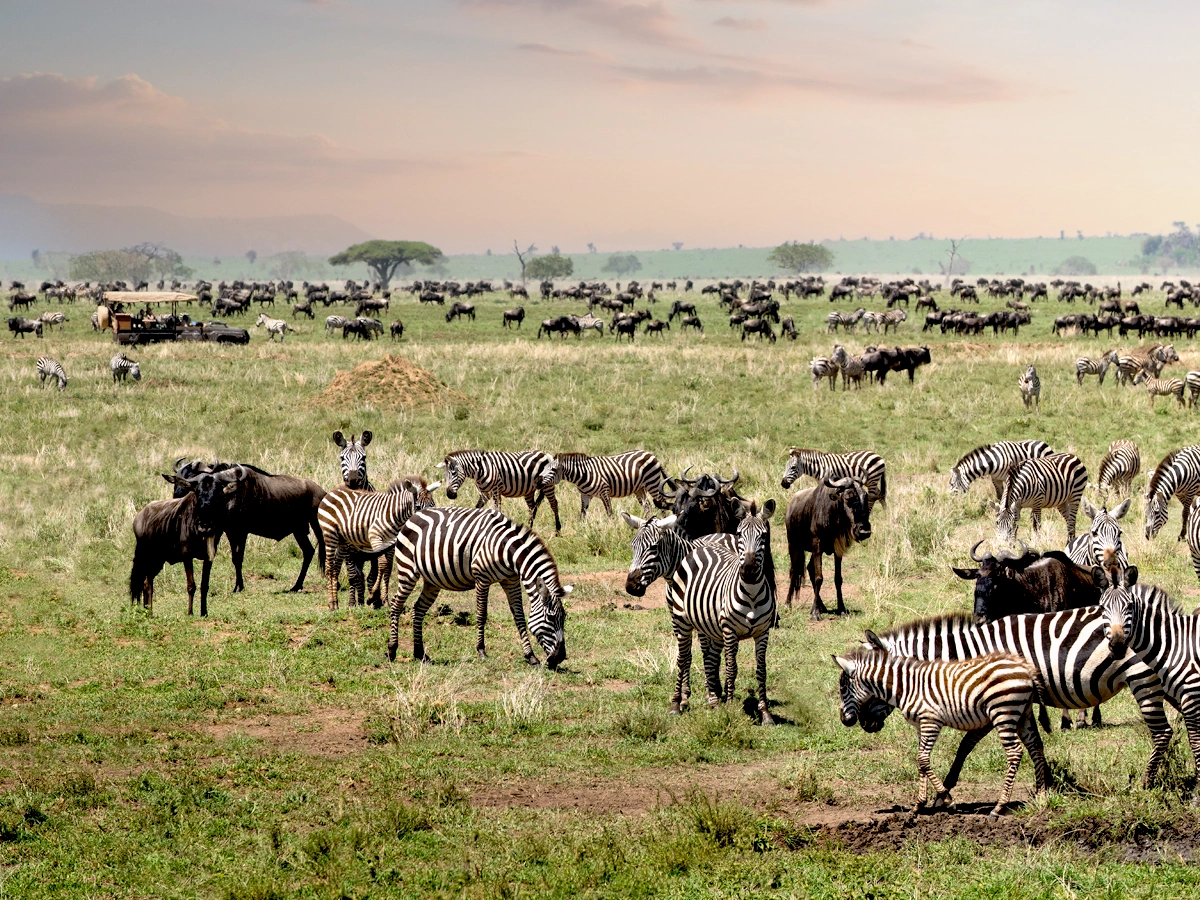 Serengeti National Park
