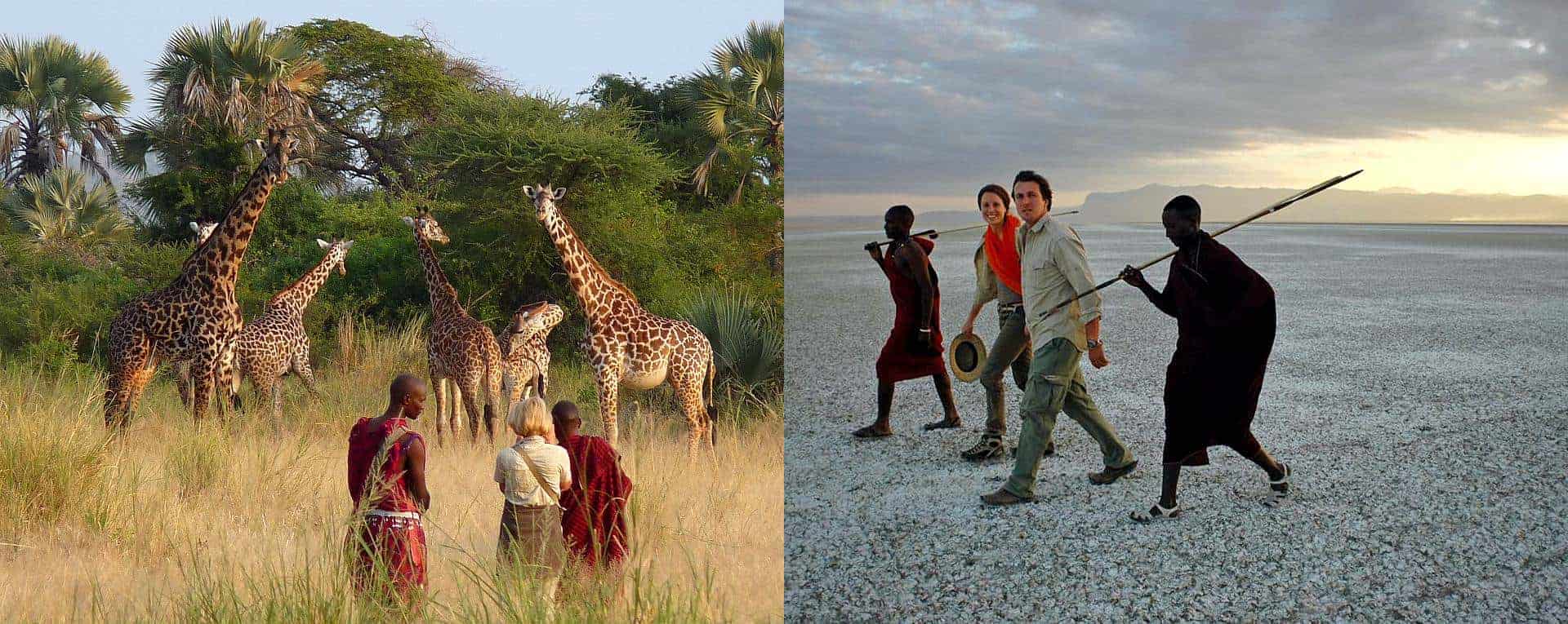 12 Days Tanzania Premium Luxury Safari & Beach Holidays All Inclusive