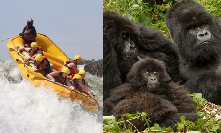 20 Days Classic Uganda Primates & Rafting Wild Adventure