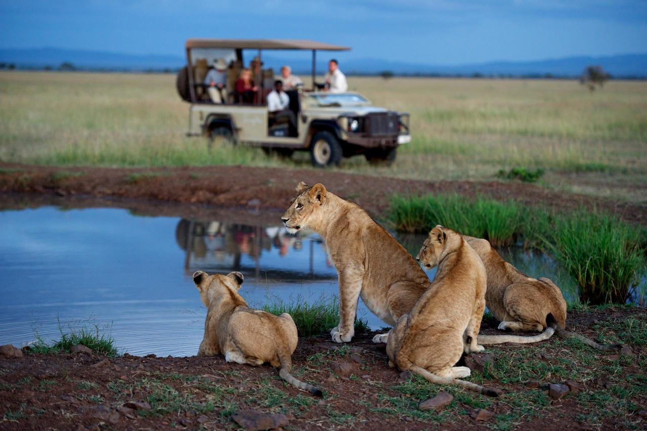 Grumeti Game Reserve