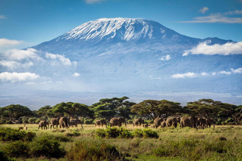 16 Days Tanzania Untamed Wilderness safari