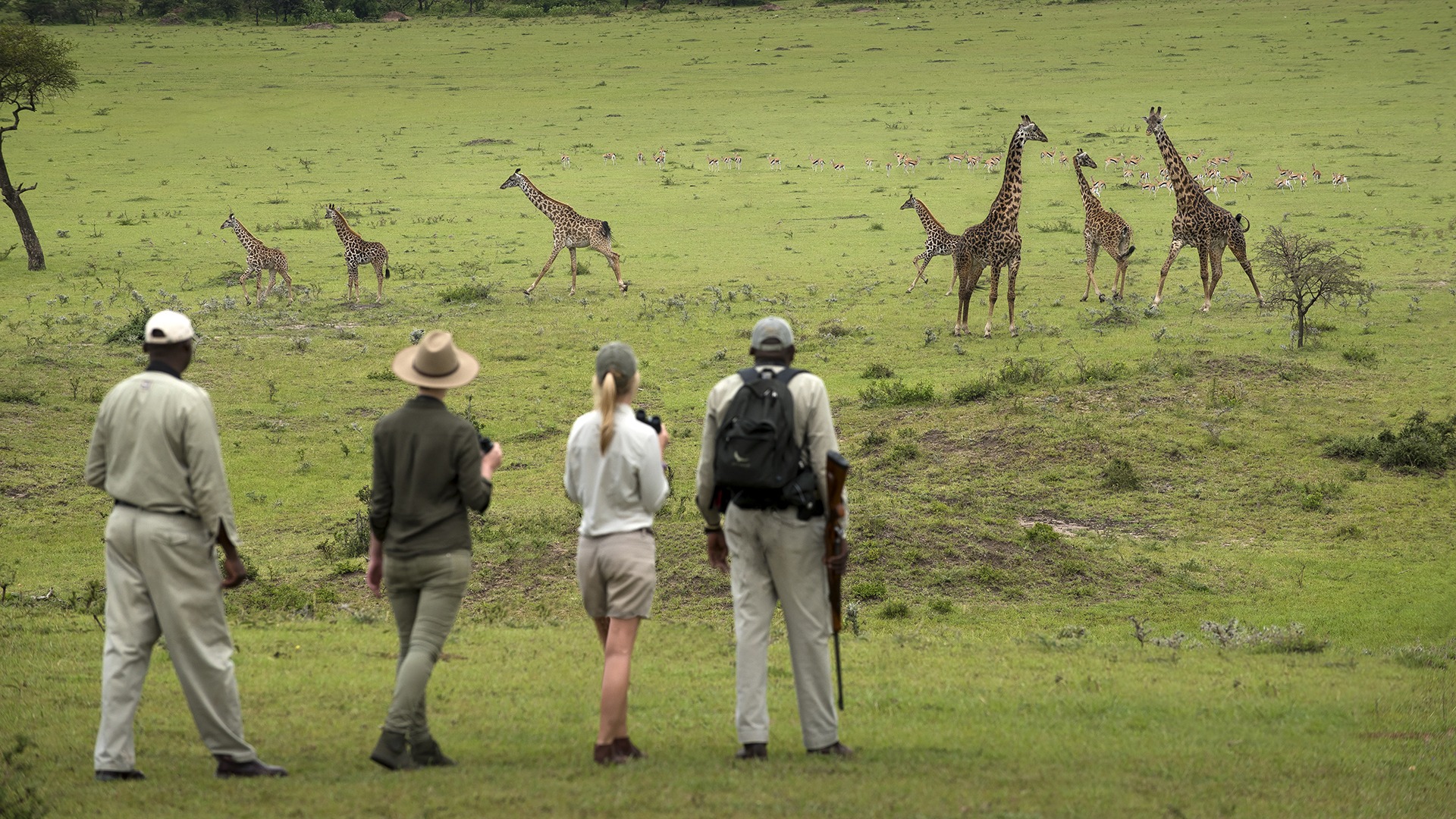 14 Days Ultimate Tanzania Wild Adventure