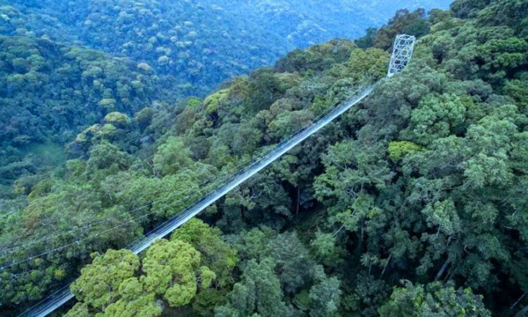 10 Days Best of Rwanda Gorilla, Chimp, Wildlife & Cultural Safari