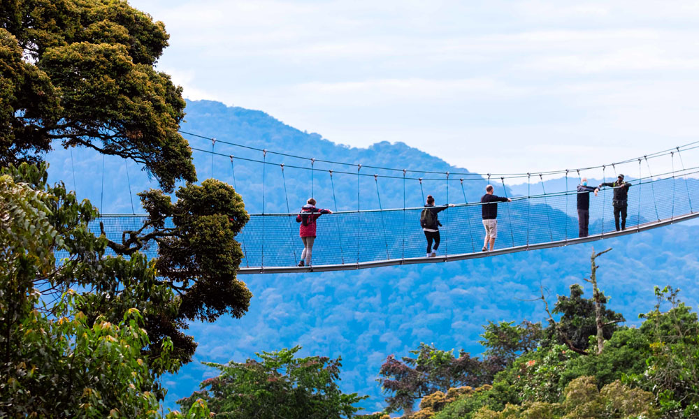 15 Days Uganda, DRC, Rwanda & Burundi Safari