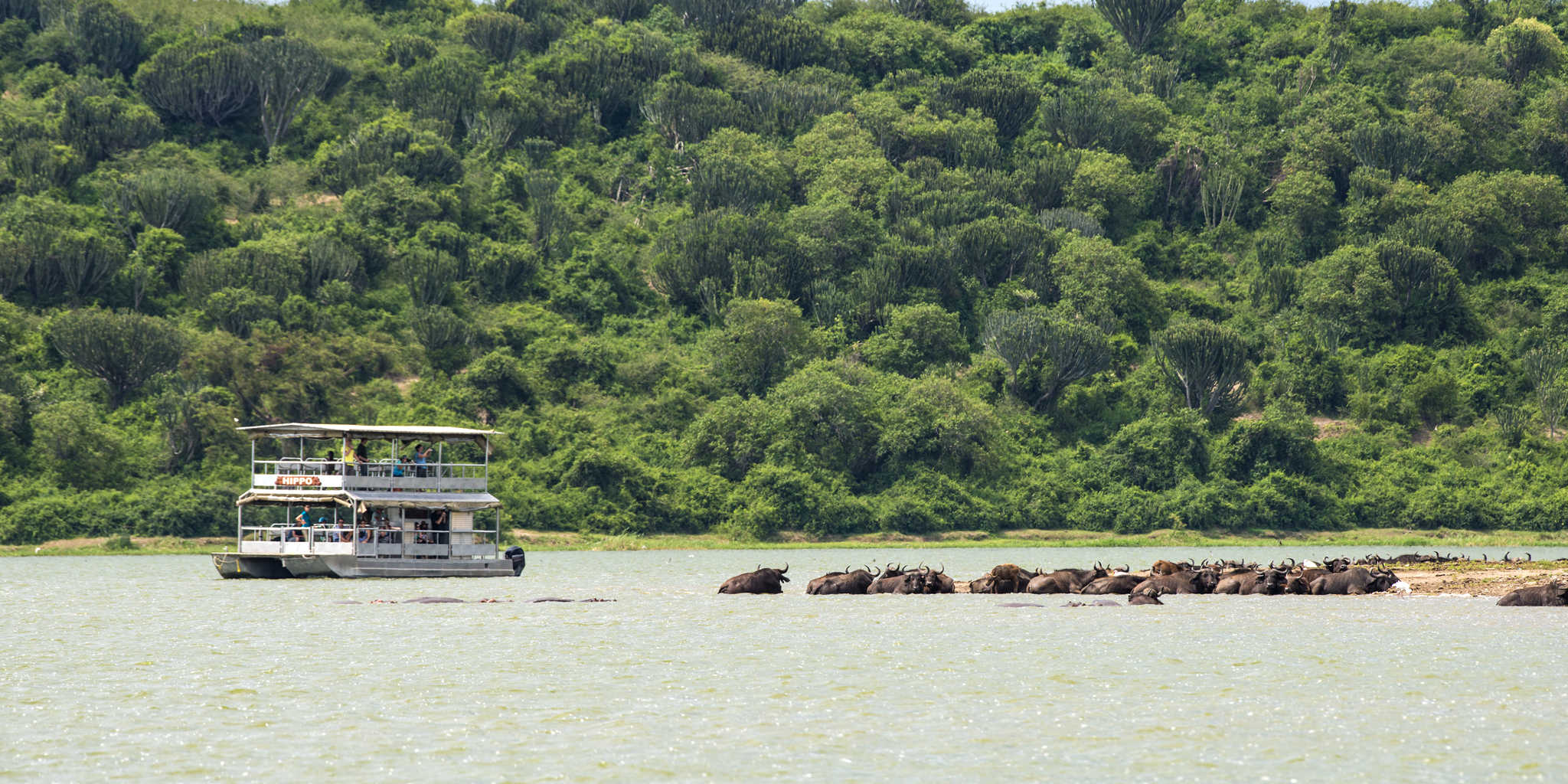 10 Days Classic Uganda Wildlife & Primate Safari by Nyumbu Beyond Safaris