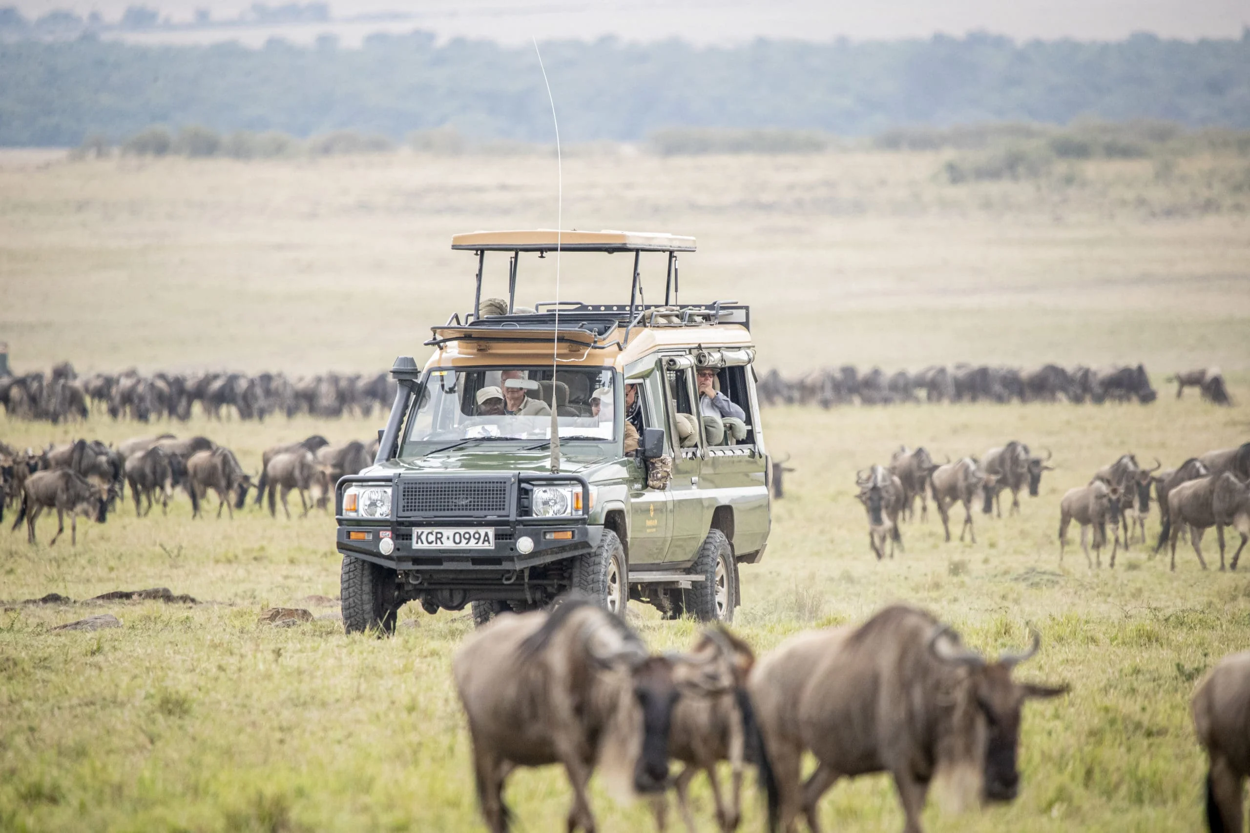 16 Days Tanzania Untamed Wilderness safari