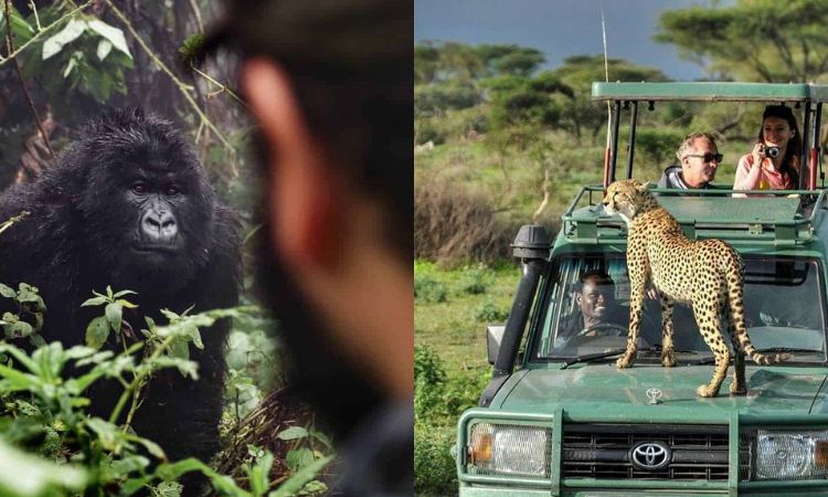 7 Days Wildlife Adventure Offbeat Kenya