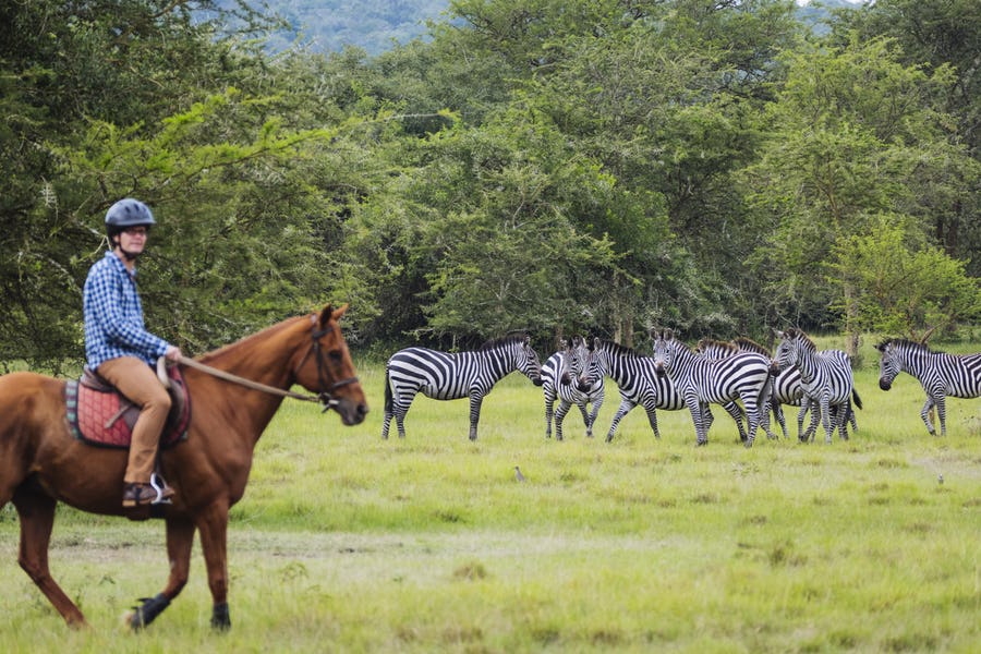 HorseBack Riding in Lake Mburo National Park Uganda