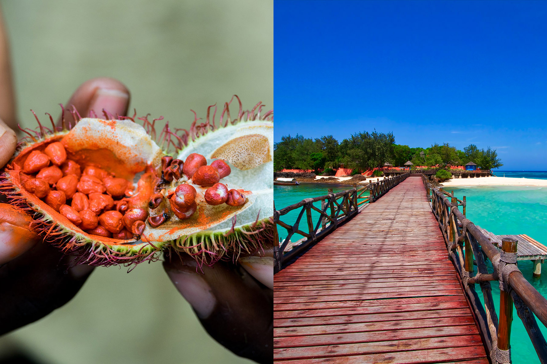 Best Things To Do And See In Zanzibar