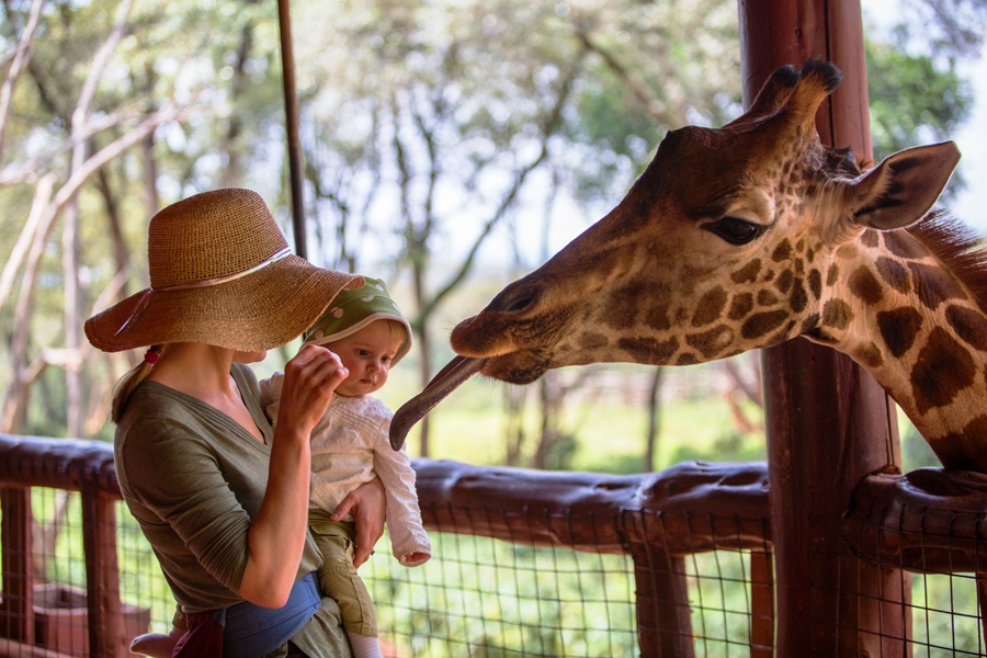 11 Days Magical Kenya Wildlife & Cultural Adventure