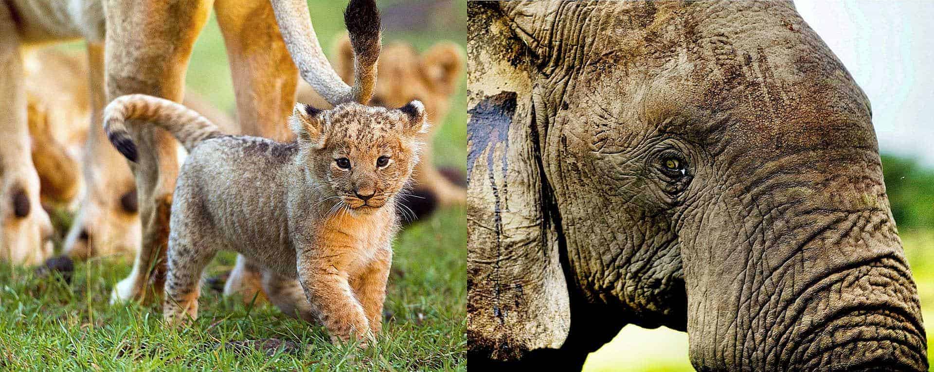 When to go to Kenya?