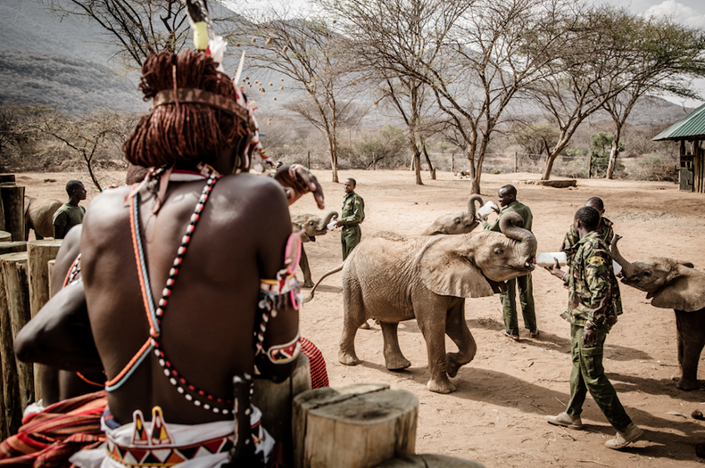Reteti Elephant Sanctuary