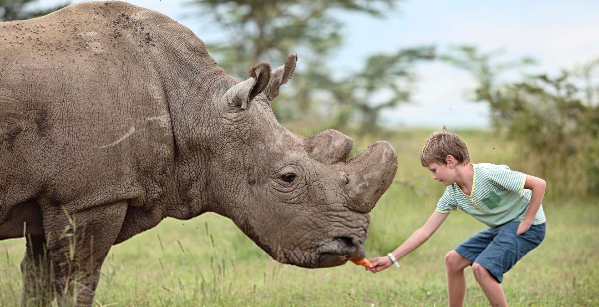 Top 10 Wildlife Experiences in Laikipia