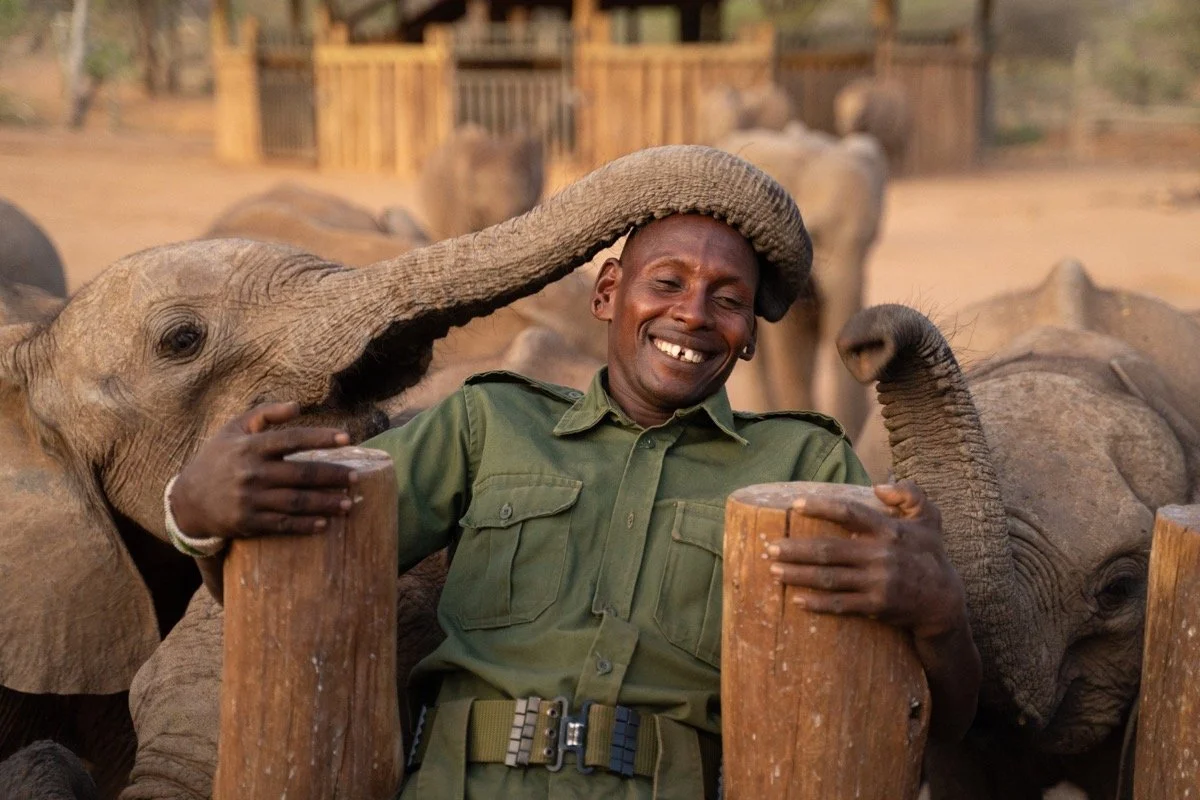 Travel Guide to Reteti Elephant Sanctuary