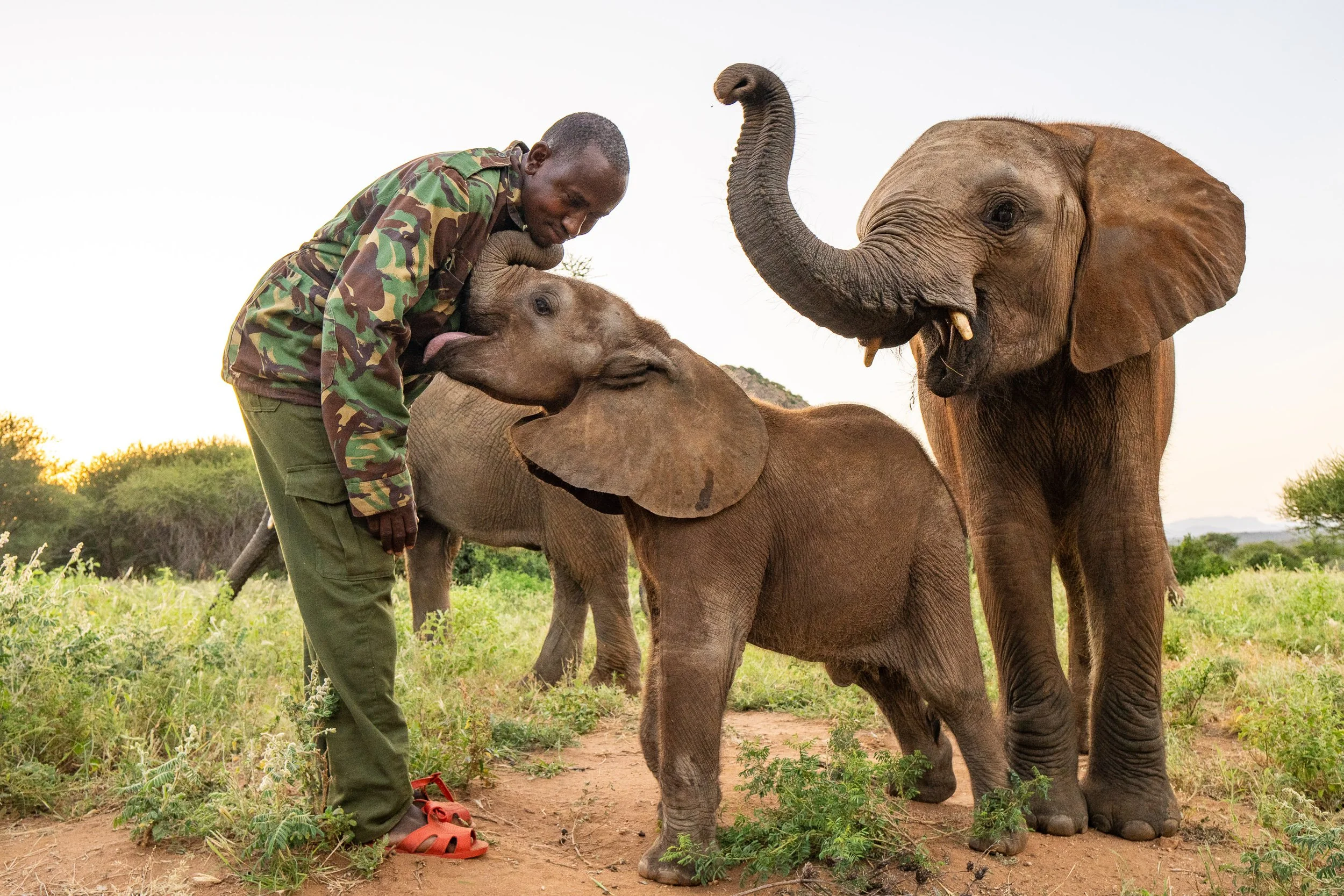 Reteti Elephant Sanctuary