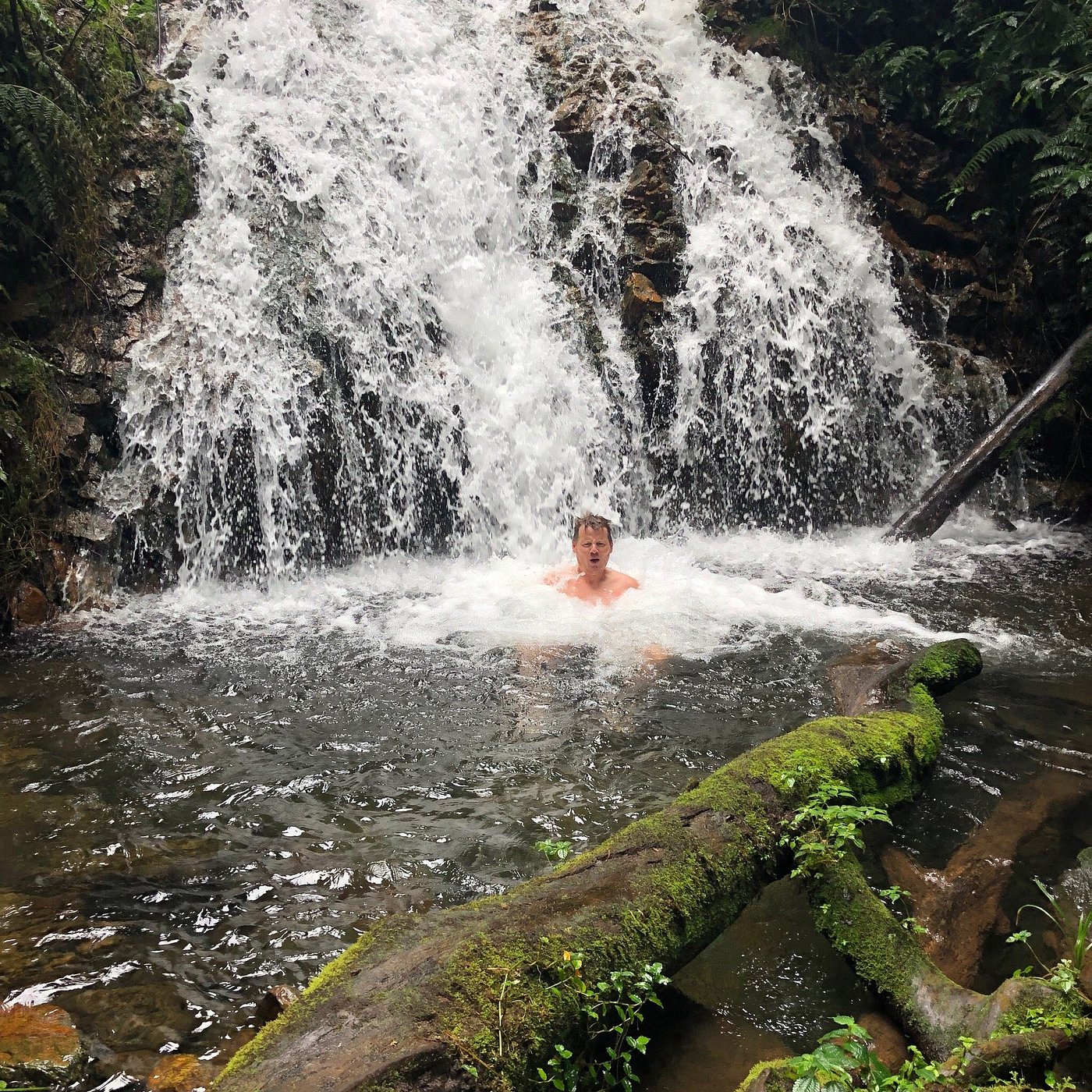 Explore the Magic of Bwindi National Park Uganda