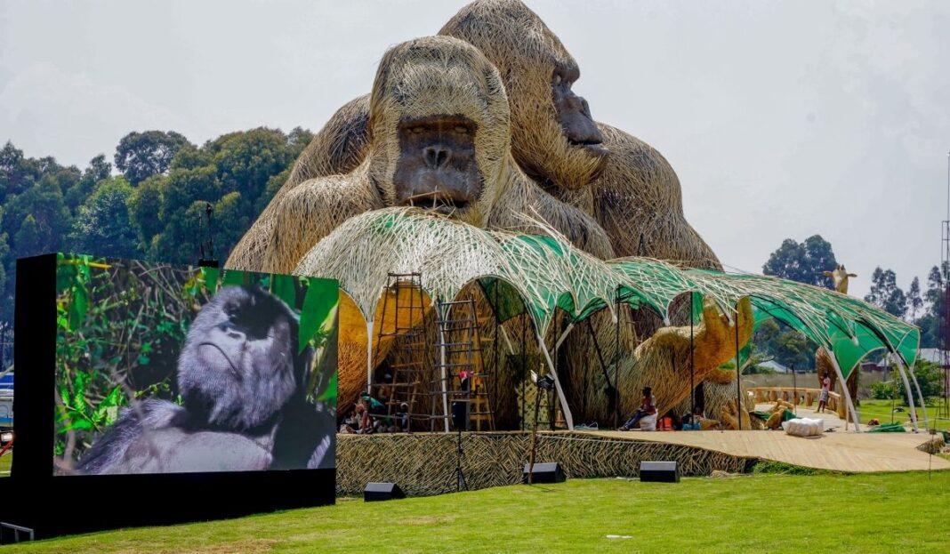 Kwita Izina gorilla naming ceremony 2025