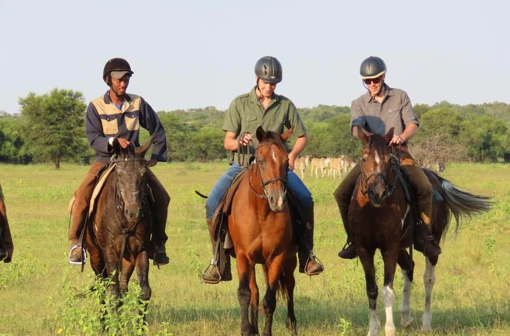 Horseback riding in Lake Mburo national park
