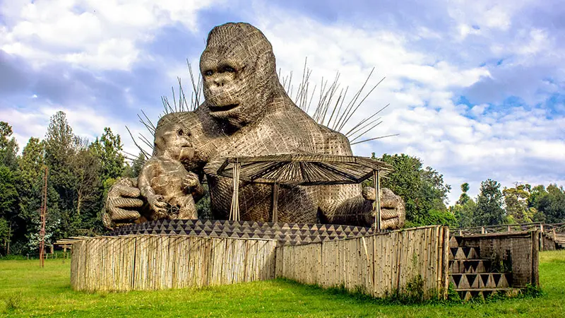 Kwita Izina gorilla naming ceremony 2025