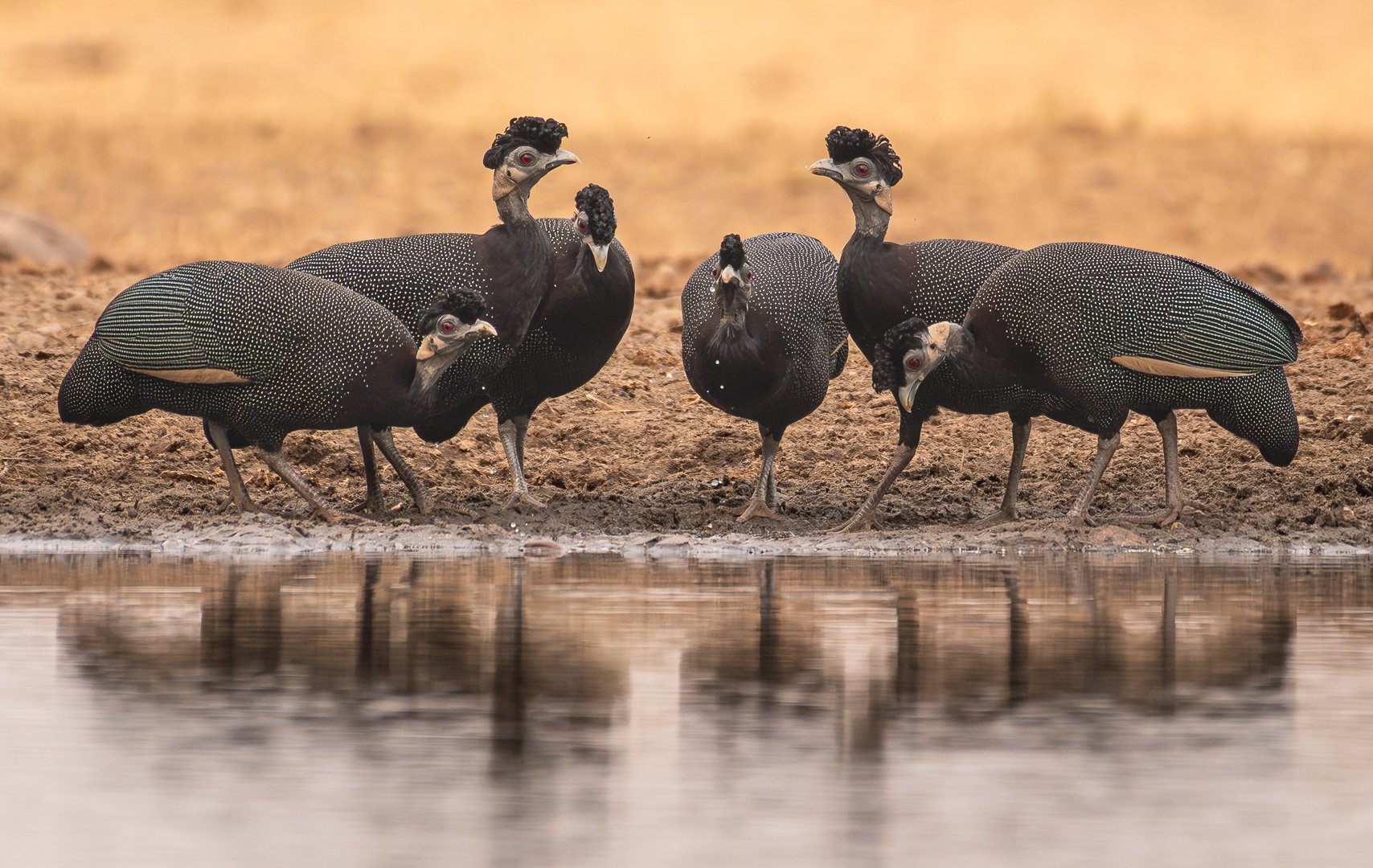 Mahale Mountains National Park