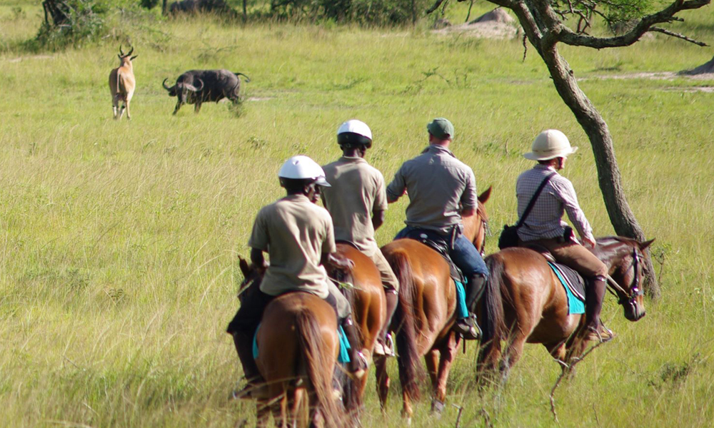 Horseback riding in Lake Mburo national park