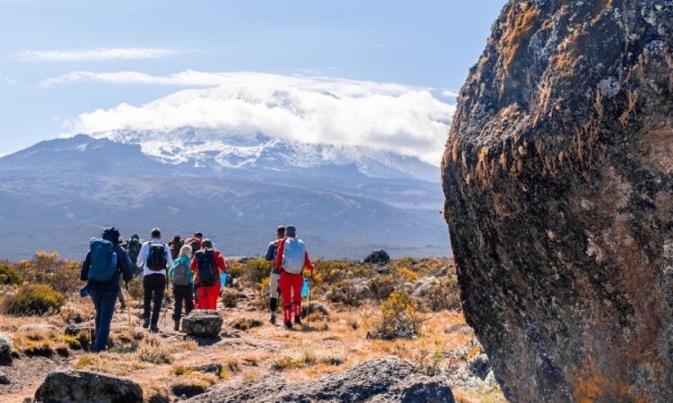 Mount Kilimanjaro National Park