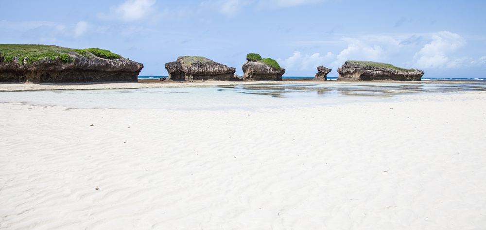 15 Things to do in Watamu Kenya