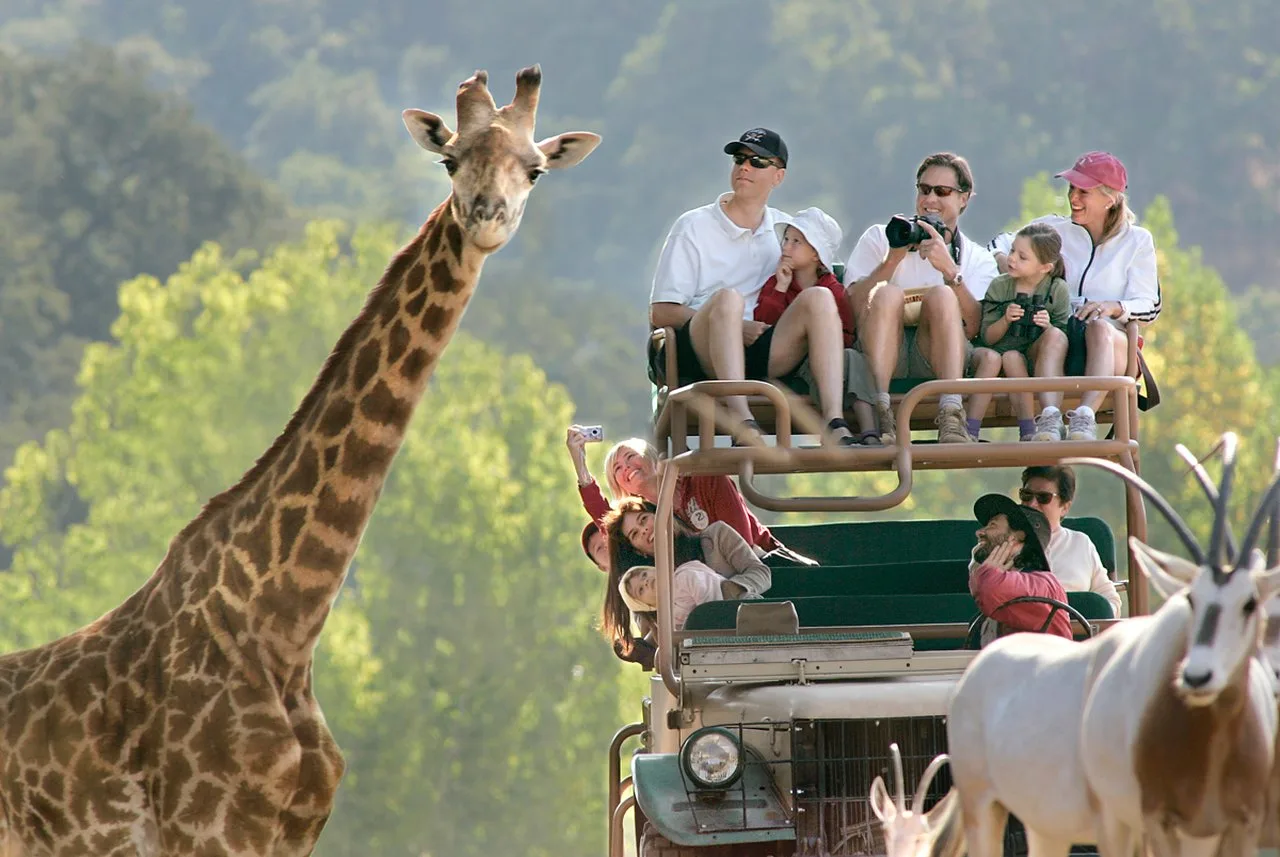 Top 5 Best Tanzania Family Safaris and Tours