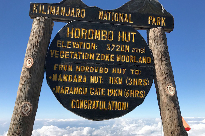 9 Days Rongai Route Kilimanjaro Hike