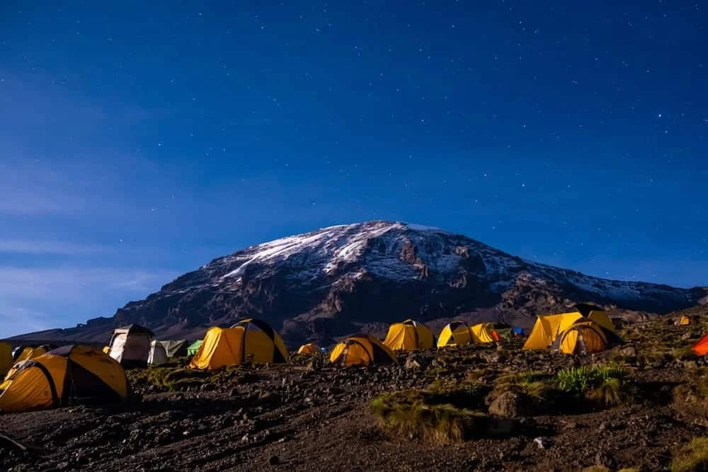 10 Days Kilimanjaro Hike Via Lemosho Route