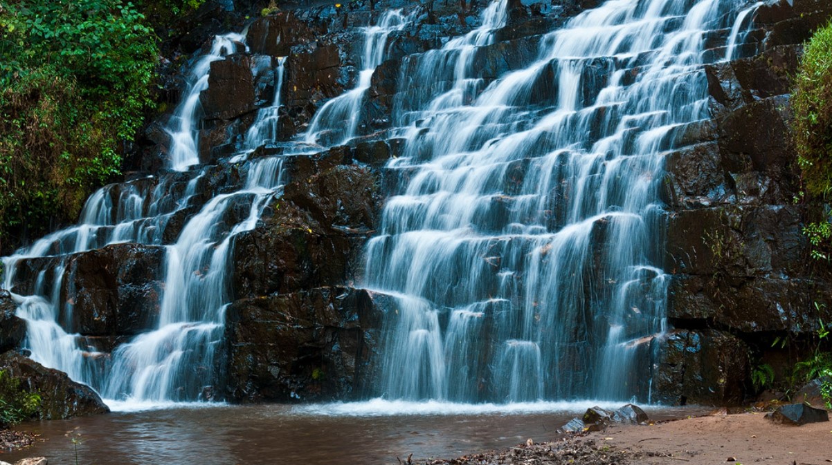 Hiking the Bururi Forest