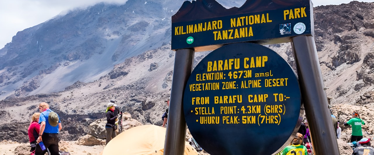 8 Days Kilimanjaro Hike Via Shira Route