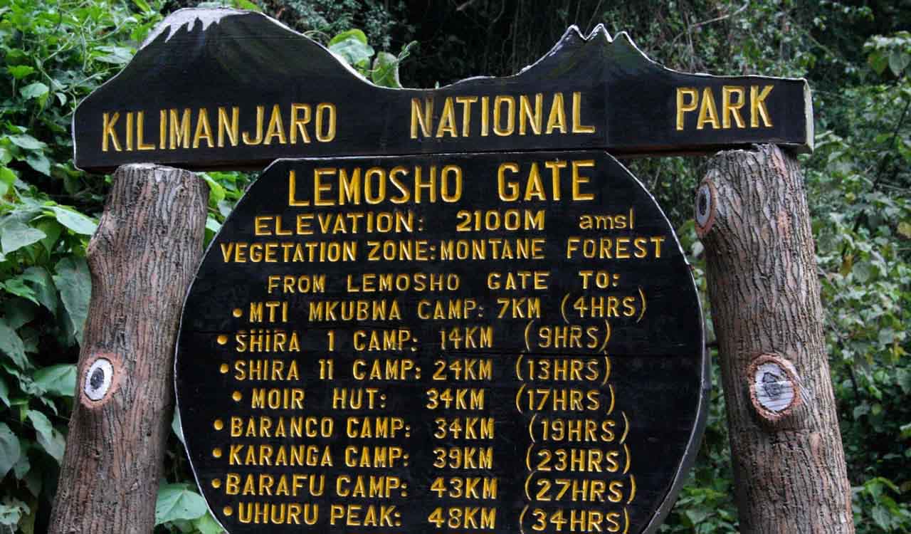 8 Days Lemosho Route