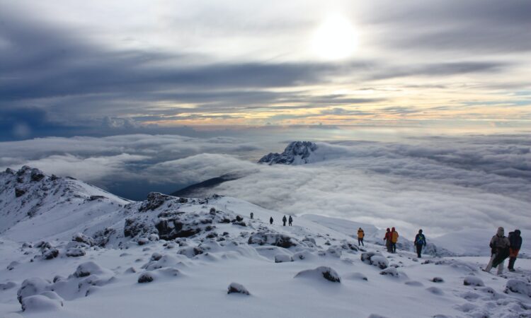 8 Days Kilimanjaro Hike Lemosho Route